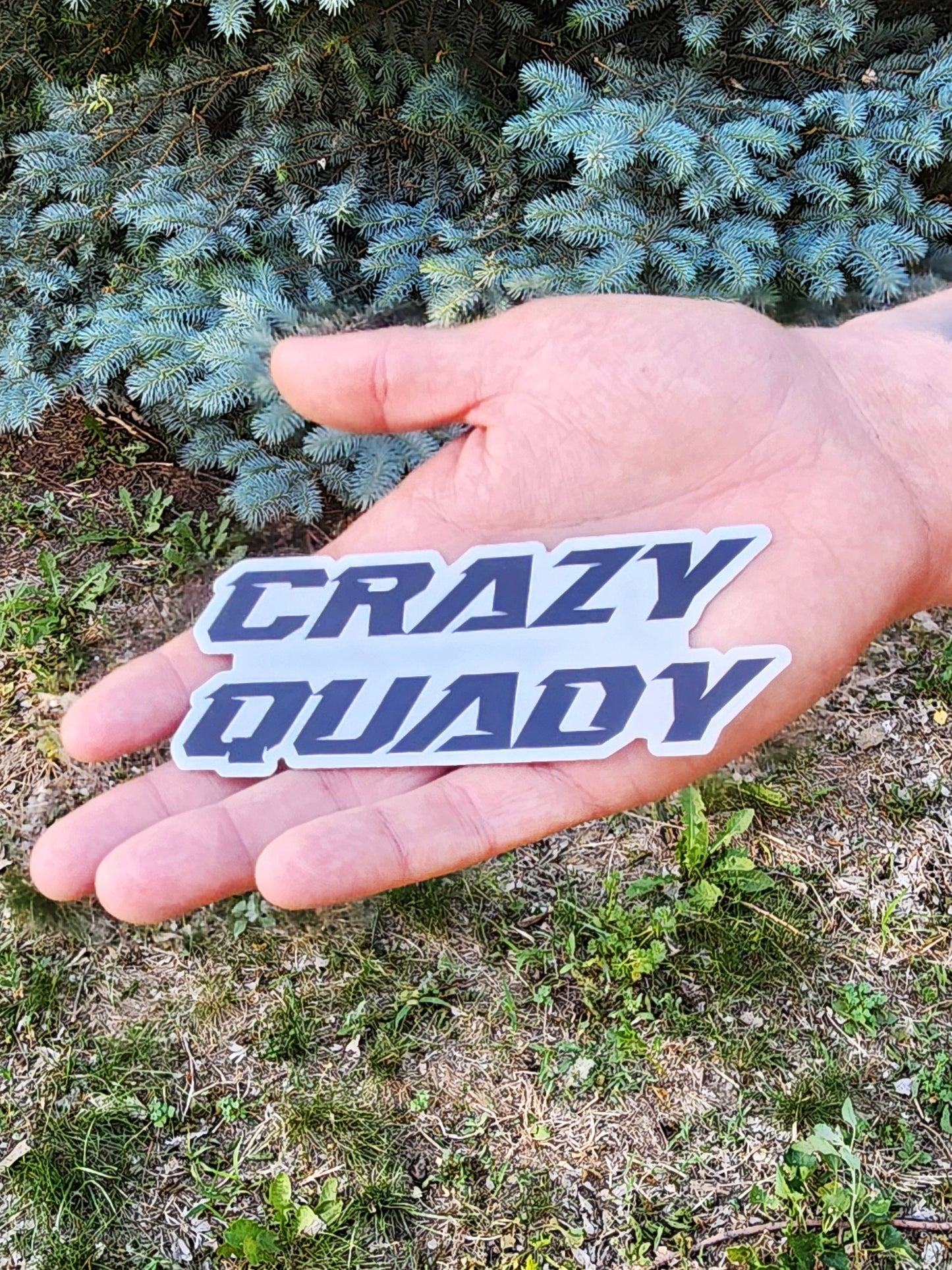 CrazyQuady Sticker